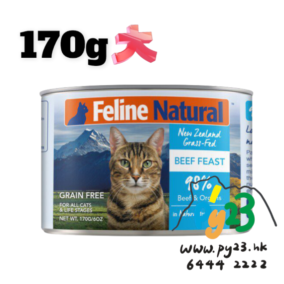 F9 Feline Natural Beef 牛肉盛宴 牛肉貓罐頭 170G(大) (藍)