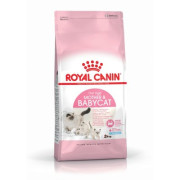 Royal Canin BB貓配方 貓乾糧 4 KG (BA34) (BABYCAT)