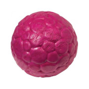 BOZ BALL 狗狗拋接玩具(大碼)