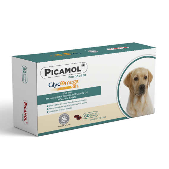 Picamol  綠貽脂  犬用60粒