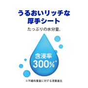 <<日本製>LIon Pet  貓貓輕鬆洗 厚型連指手套 濕紙巾15片 