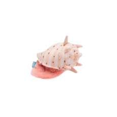 BARK CECIL'S Seashell 貝殼造型咬咬發聲拉扯玩具